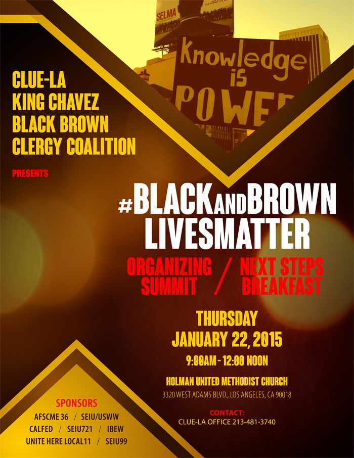 Black&Brown Lives Matter Summit