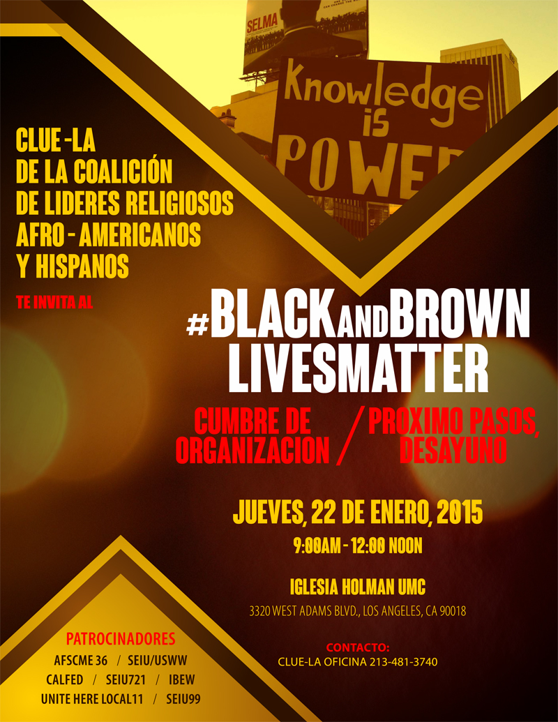 Black&Brown Lives Matter Summit