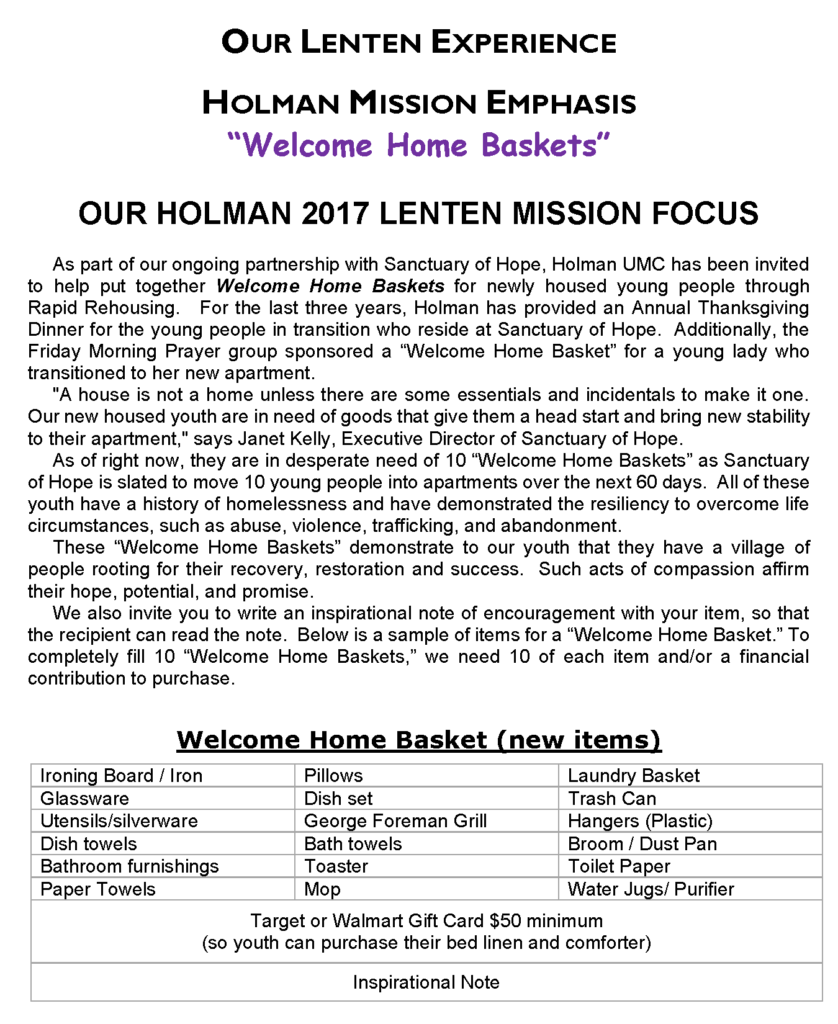 Holman - 2017 Mission Project