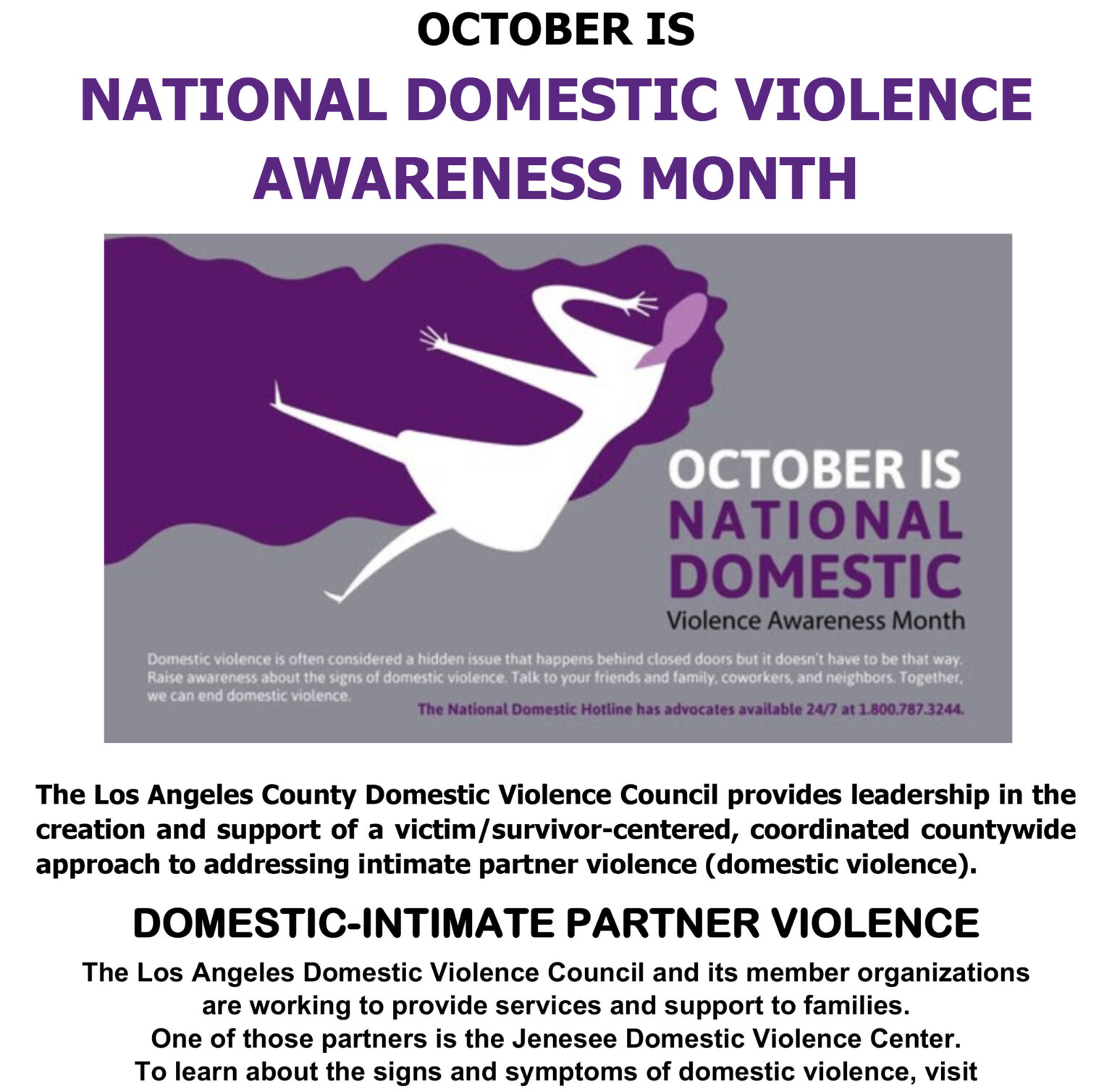 NATIONAL DV AWARENESS MONTHOct FIyer 2 Holman United Methodist Church